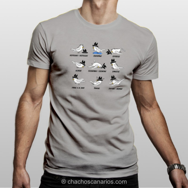 Camiseta Chachos variados