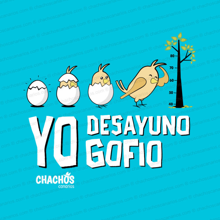 Camiseta para niño "yo desayuno gofio"