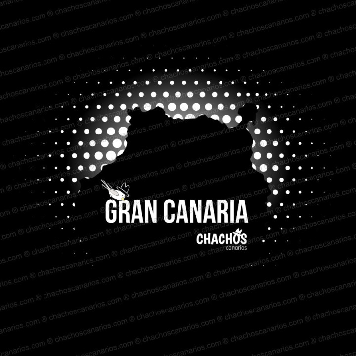 Camiseta con la silueta de Gran Canaria