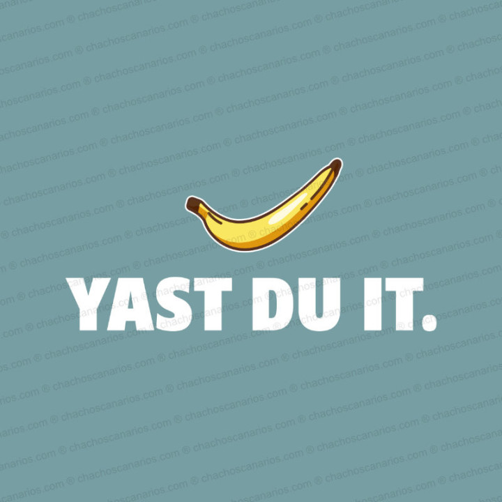Camiseta Yast du it