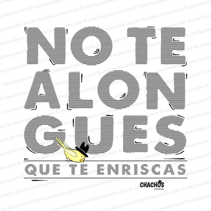 Camiseta no te alongues que te enriscas