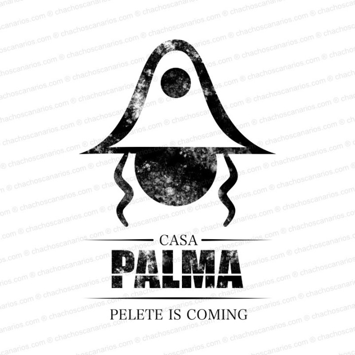 Camiseta Casa Palma