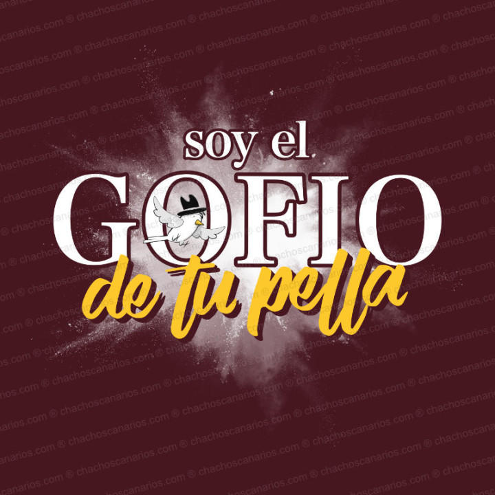Camiseta "Gofio de tu pella"