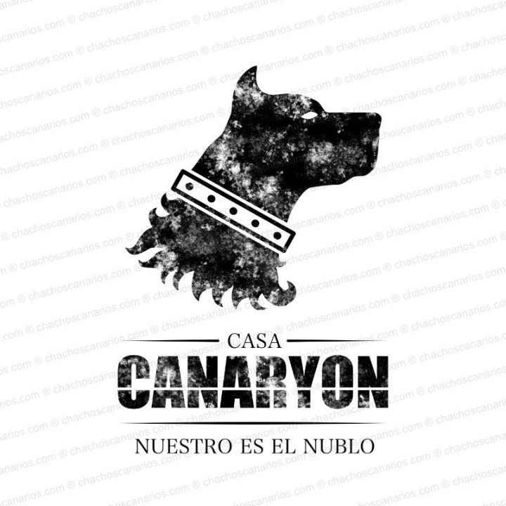 Camiseta Casa Canaryon