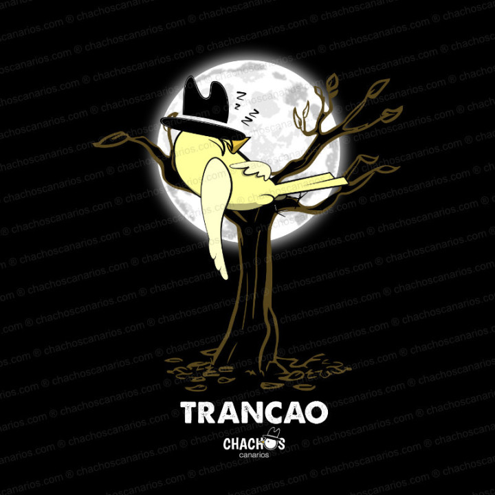Camiseta del chacho trancao