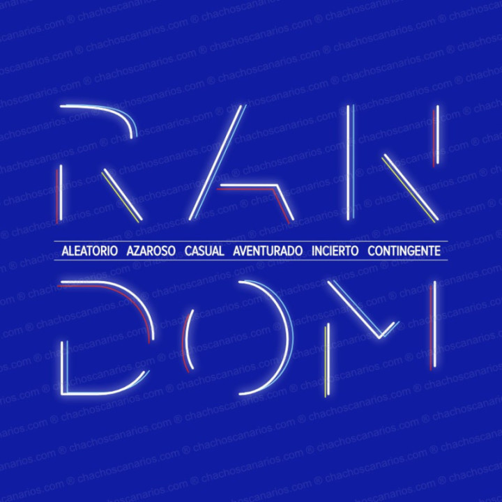Camiseta Random