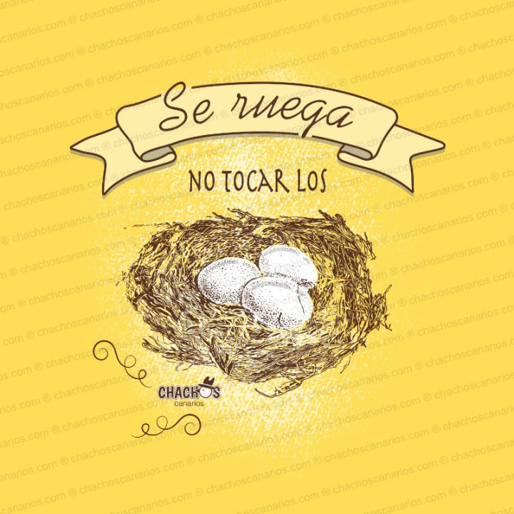 Camiseta Huevos de Chachos Canarios